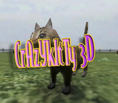 Crazy Kitty 3D Cover